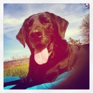 Meet your Posher, Stacy